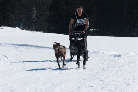 La Pesse 2014  Course de chiens de traineau  (dimanche 09/03/2014), IMG_4649
