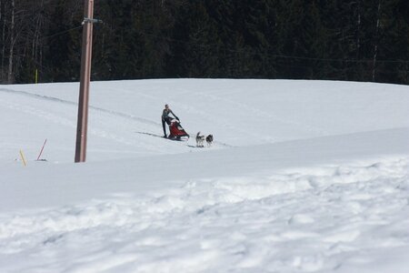 La Pesse 2014  Course de chiens de traineau  (dimanche 09/03/2014), IMG_4654