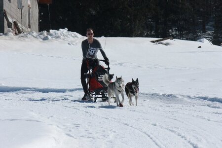La Pesse 2014  Course de chiens de traineau  (dimanche 09/03/2014), IMG_4661
