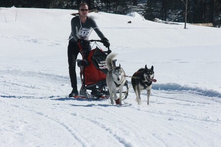 La Pesse 2014  Course de chiens de traineau  (dimanche 09/03/2014), IMG_4662