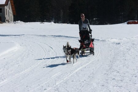 La Pesse 2014  Course de chiens de traineau  (dimanche 09/03/2014), IMG_4665