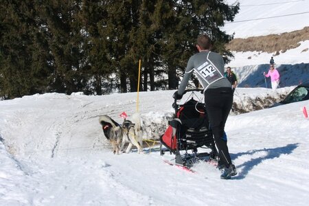 La Pesse 2014  Course de chiens de traineau  (dimanche 09/03/2014), IMG_4669