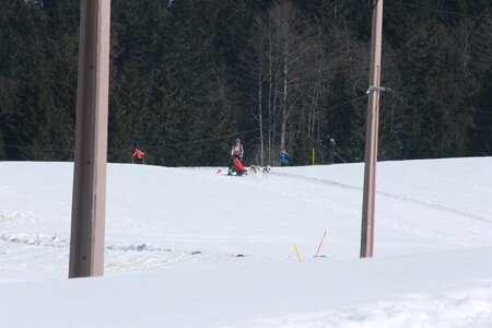 La Pesse 2014  Course de chiens de traineau  (dimanche 09/03/2014), IMG_4670