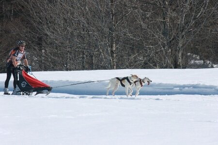 La Pesse 2014  Course de chiens de traineau  (dimanche 09/03/2014), IMG_4673