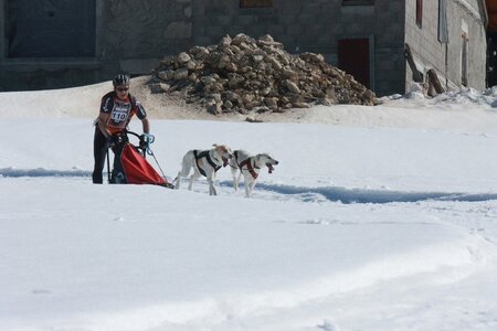 La Pesse 2014  Course de chiens de traineau  (dimanche 09/03/2014), IMG_4675