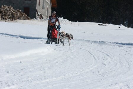 La Pesse 2014  Course de chiens de traineau  (dimanche 09/03/2014), IMG_4676