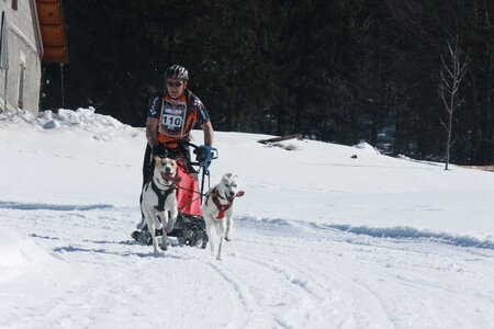 La Pesse 2014  Course de chiens de traineau  (dimanche 09/03/2014), IMG_4677