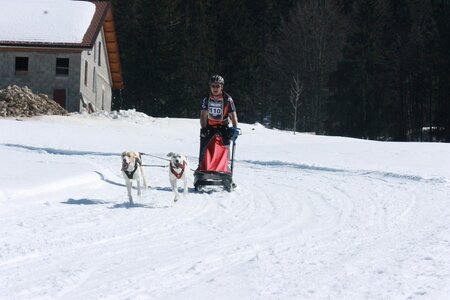 La Pesse 2014  Course de chiens de traineau  (dimanche 09/03/2014), IMG_4678
