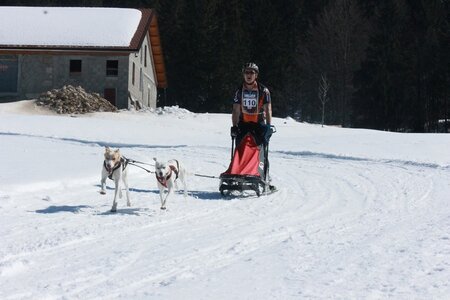 La Pesse 2014  Course de chiens de traineau  (dimanche 09/03/2014), IMG_4679