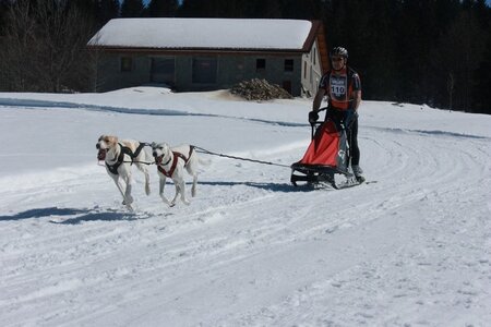 La Pesse 2014  Course de chiens de traineau  (dimanche 09/03/2014), IMG_4680