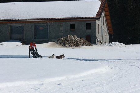 La Pesse 2014  Course de chiens de traineau  (dimanche 09/03/2014), IMG_4682