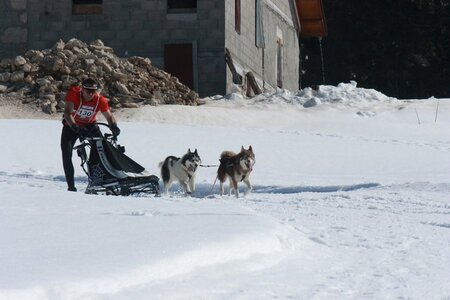 La Pesse 2014  Course de chiens de traineau  (dimanche 09/03/2014), IMG_4683