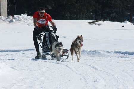 La Pesse 2014  Course de chiens de traineau  (dimanche 09/03/2014), IMG_4685