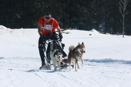 La Pesse 2014  Course de chiens de traineau  (dimanche 09/03/2014), IMG_4686