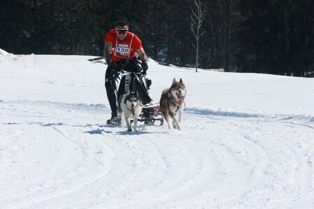 La Pesse 2014  Course de chiens de traineau  (dimanche 09/03/2014), IMG_4687