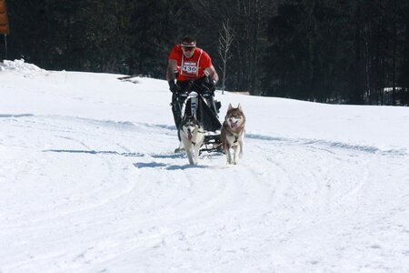 La Pesse 2014  Course de chiens de traineau  (dimanche 09/03/2014), IMG_4688