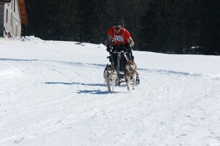 La Pesse 2014  Course de chiens de traineau  (dimanche 09/03/2014), IMG_4689