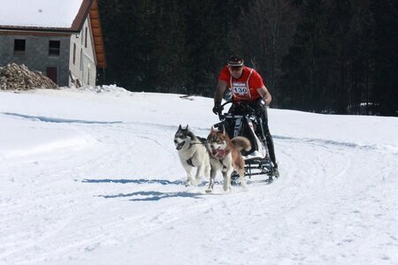 La Pesse 2014  Course de chiens de traineau  (dimanche 09/03/2014), IMG_4690