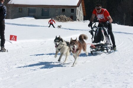 La Pesse 2014  Course de chiens de traineau  (dimanche 09/03/2014), IMG_4691