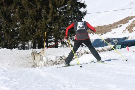 La Pesse 2014  Course de chiens de traineau  (dimanche 09/03/2014), IMG_4695