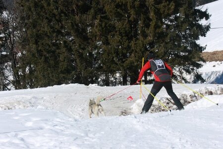 La Pesse 2014  Course de chiens de traineau  (dimanche 09/03/2014), IMG_4696