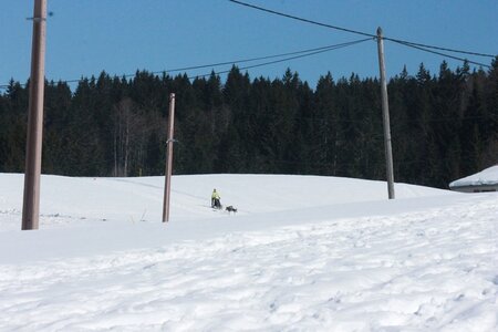 La Pesse 2014  Course de chiens de traineau  (dimanche 09/03/2014), IMG_4698