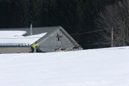 La Pesse 2014  Course de chiens de traineau  (dimanche 09/03/2014), IMG_4699