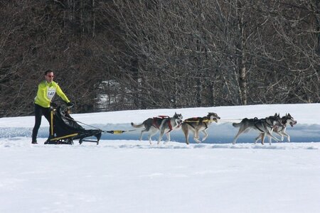 La Pesse 2014  Course de chiens de traineau  (dimanche 09/03/2014), IMG_4702