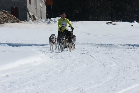 La Pesse 2014  Course de chiens de traineau  (dimanche 09/03/2014), IMG_4704