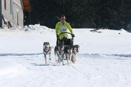 La Pesse 2014  Course de chiens de traineau  (dimanche 09/03/2014), IMG_4705