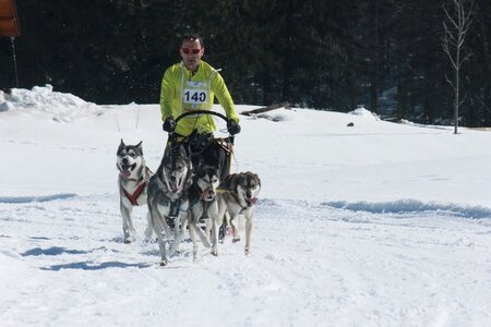 La Pesse 2014  Course de chiens de traineau  (dimanche 09/03/2014), IMG_4706