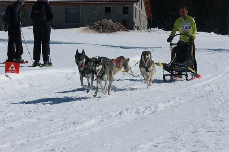 La Pesse 2014  Course de chiens de traineau  (dimanche 09/03/2014), IMG_4709