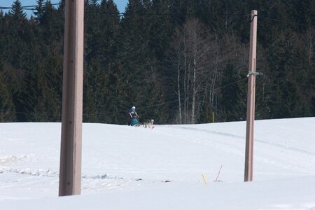 La Pesse 2014  Course de chiens de traineau  (dimanche 09/03/2014), IMG_4712