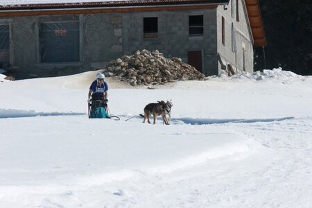 La Pesse 2014  Course de chiens de traineau  (dimanche 09/03/2014), IMG_4717