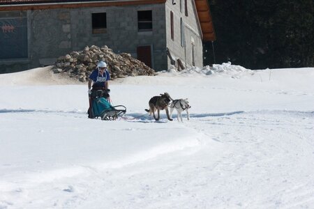 La Pesse 2014  Course de chiens de traineau  (dimanche 09/03/2014), IMG_4718