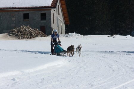 La Pesse 2014  Course de chiens de traineau  (dimanche 09/03/2014), IMG_4719