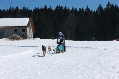 La Pesse 2014  Course de chiens de traineau  (dimanche 09/03/2014), IMG_4723
