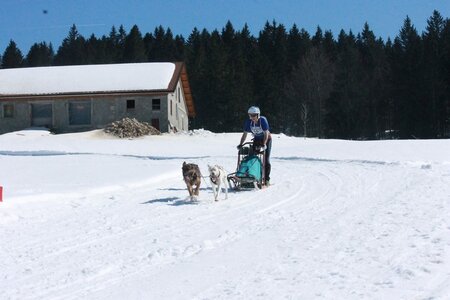 La Pesse 2014  Course de chiens de traineau  (dimanche 09/03/2014), IMG_4724