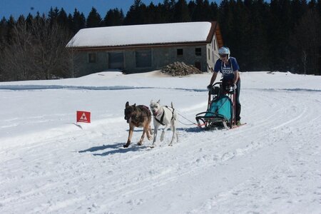 La Pesse 2014  Course de chiens de traineau  (dimanche 09/03/2014), IMG_4725