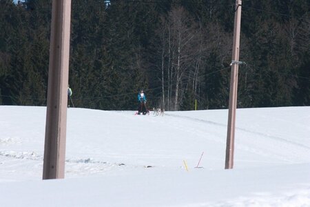 La Pesse 2014  Course de chiens de traineau  (dimanche 09/03/2014), IMG_4728