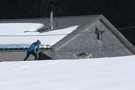 La Pesse 2014  Course de chiens de traineau  (dimanche 09/03/2014), IMG_4729