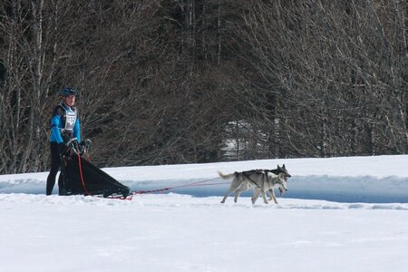 La Pesse 2014  Course de chiens de traineau  (dimanche 09/03/2014), IMG_4730