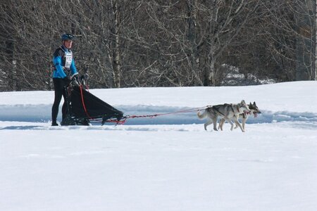 La Pesse 2014  Course de chiens de traineau  (dimanche 09/03/2014), IMG_4731