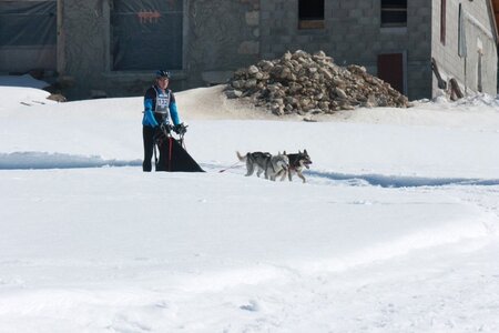 La Pesse 2014  Course de chiens de traineau  (dimanche 09/03/2014), IMG_4732