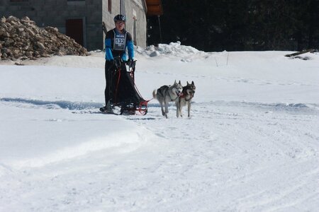 La Pesse 2014  Course de chiens de traineau  (dimanche 09/03/2014), IMG_4733