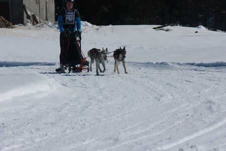 La Pesse 2014  Course de chiens de traineau  (dimanche 09/03/2014), IMG_4734