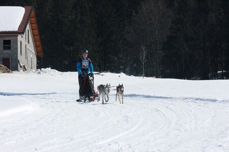 La Pesse 2014  Course de chiens de traineau  (dimanche 09/03/2014), IMG_4735