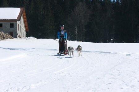 La Pesse 2014  Course de chiens de traineau  (dimanche 09/03/2014), IMG_4736