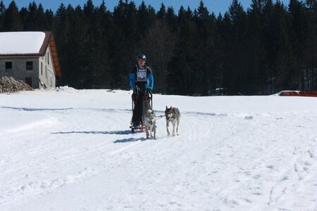 La Pesse 2014  Course de chiens de traineau  (dimanche 09/03/2014), IMG_4737