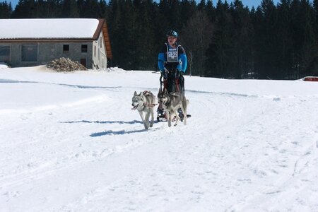 La Pesse 2014  Course de chiens de traineau  (dimanche 09/03/2014), IMG_4738